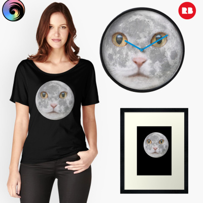 The Cat in The Moon