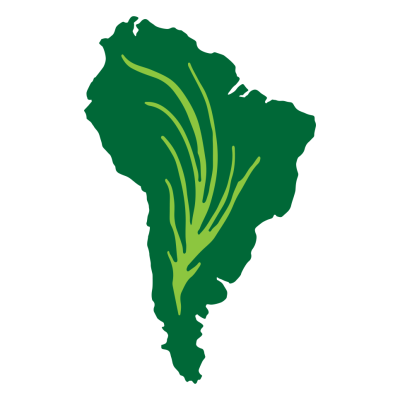 Logo 9