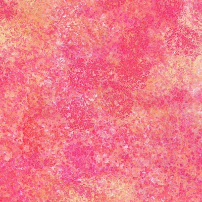 Coral & Sponge